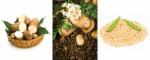 AKFP_cassavaroot-pea-potato