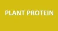 Plant protein