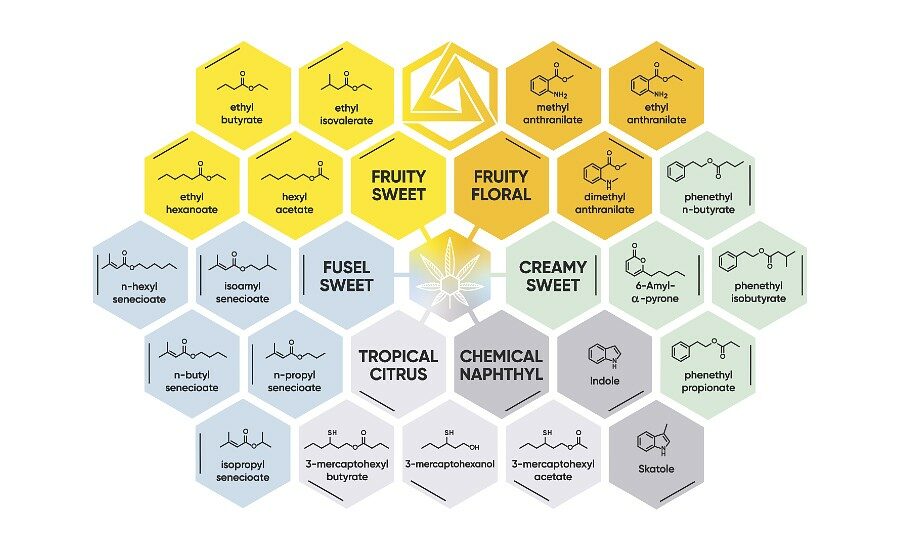 Graphic showing exotic cannabis flavorants