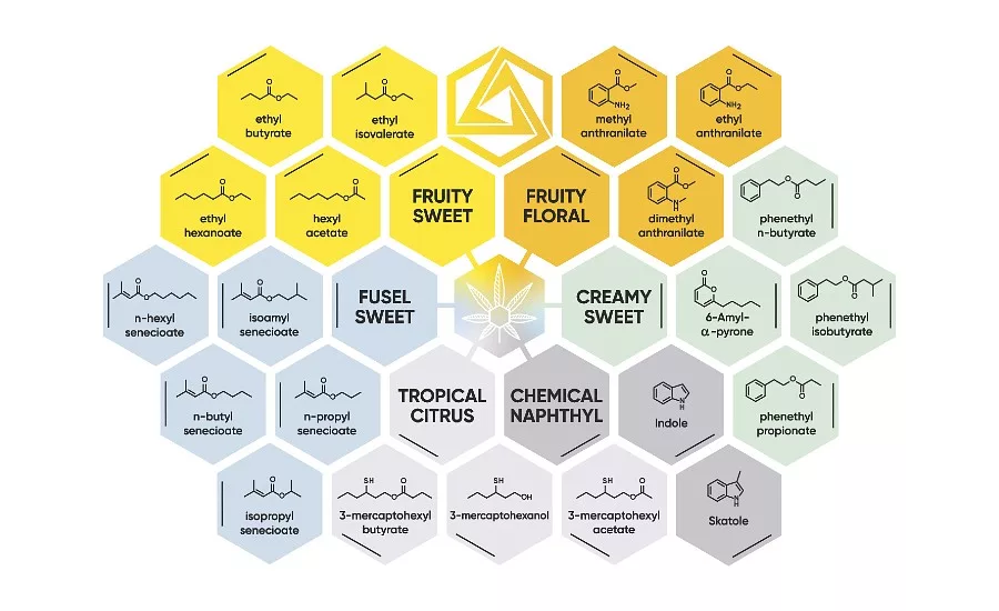 Graphic showing exotic cannabis flavorants