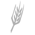 Grainsseeds