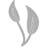 Starchfibers