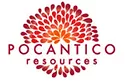 Pocantico Resources Inc.