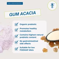 Prebiom Wellness
